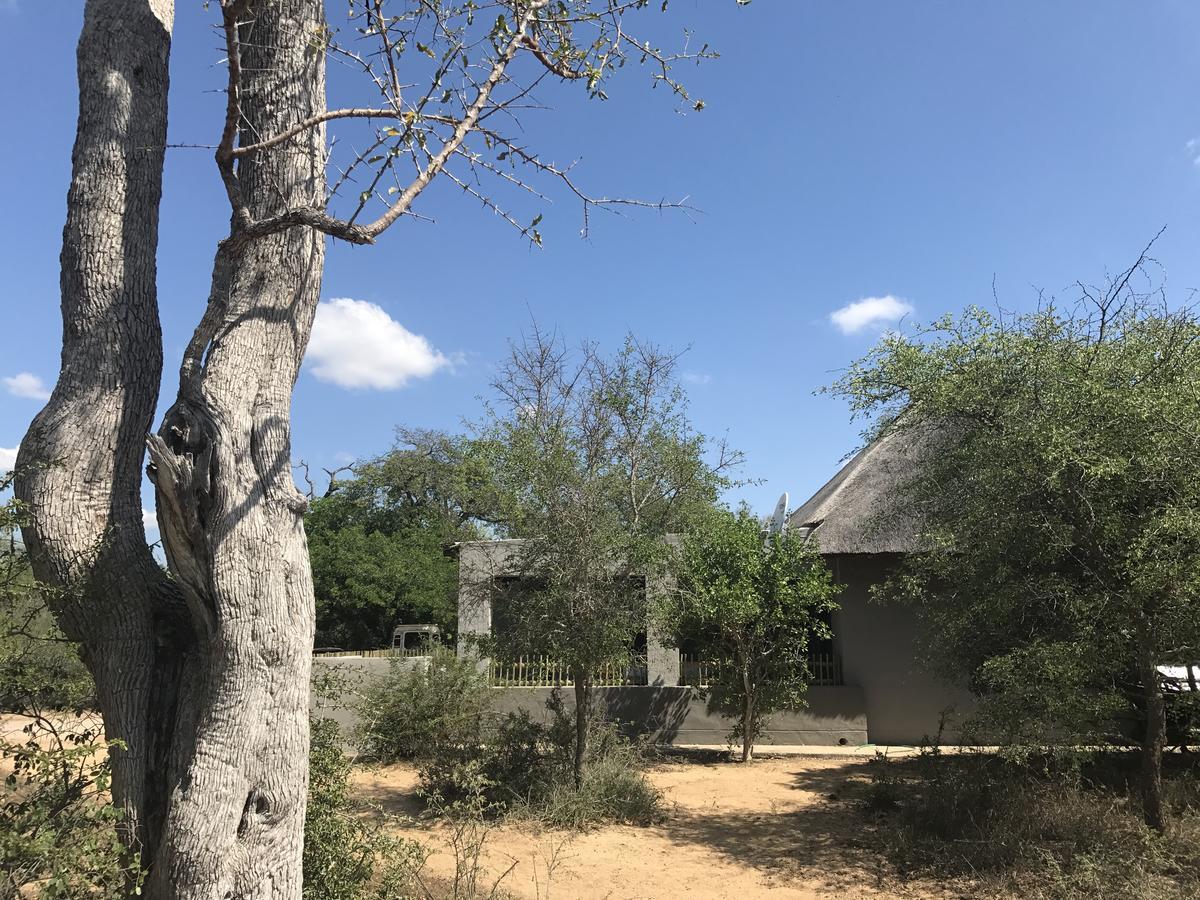 Leadwood Lodge Hoedspruit Exterior foto